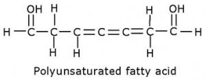 polyunsaturated fat