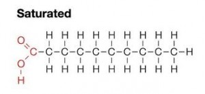 saturated fat